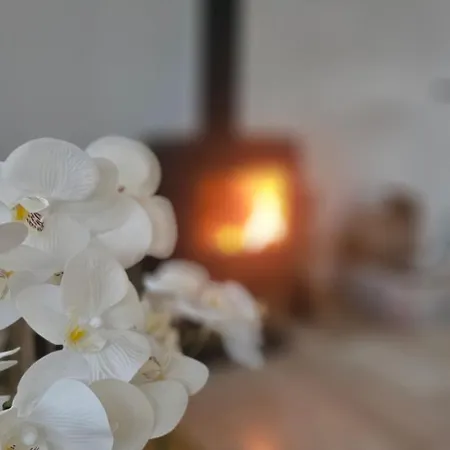Dom wakacyjny Kisetyek Vendeghaz Etyek
